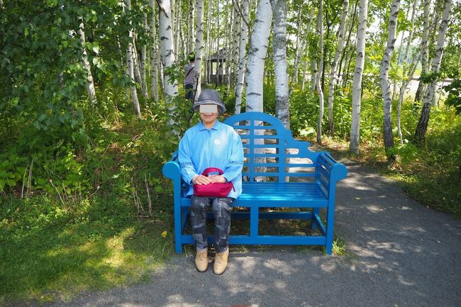 白樺並木のベンチにて。