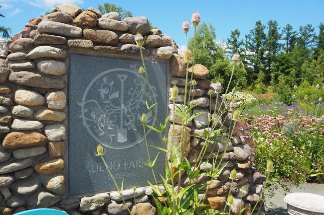 団体客が利用する東口。<br />今は、団体客がゼロなので閉まっていました。<br />そうそう、外国の人の観光客がまったくいなくて、日本人ばかりの光景って何十年ぶりと言えるんじゃないでしょうか。<br />そのせいだけじゃないとは思うけど、とても静かに見学できました。