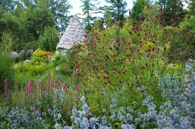 目の高さに花が咲いている。<br />ウーン、すごい。