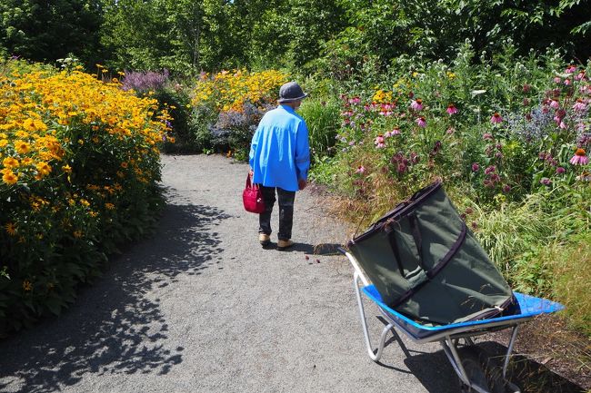 草花の陰では、スタッフが新しい苗を植え替えたり、足したりしてました。