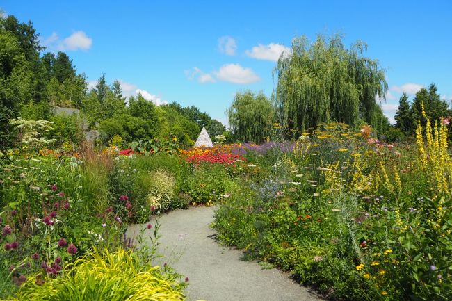 広い広いノームの庭。