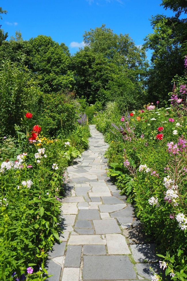 青空が目にまぶしい。