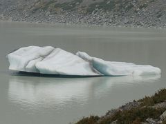 夏だからか、見かけたのはこの小さめの氷河の塊１つだけ