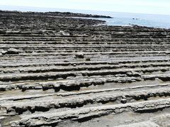 潮が引いていて散歩できます。
フナ虫がうようよいますが、かわいいです。