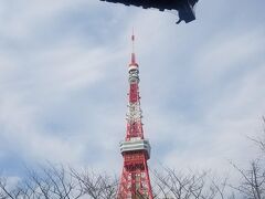 東京タワーが見えるとつい写真を撮ってしまいます