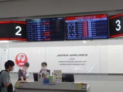 　福岡空港に到着。今回は贅沢に（？）JALで飛びます。というのも、家族で飛行機に乗るなら「おともdeマイル割引」がお得ということに、いまさら気付いたからです。
　マイル利用の１人に加え、３人までが特別割引運賃で乗れるという「おともdeマイル割引」。通常15,000かかる１人目のマイルは10,000で済むし、２人目以降の運賃も特割より安いくらいで、かなりお得。
　子どもができる前、メルボルンを目標に夫婦でせっせと貯めてたマイルは、月イチの上京が欠かせぬ今こそ、有効利用の時だとようやく気付きました。
