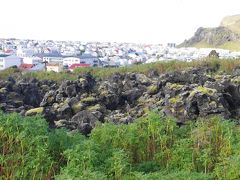 Lava field