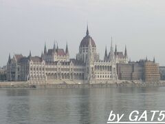 対岸から見る補修中の国会議事堂。