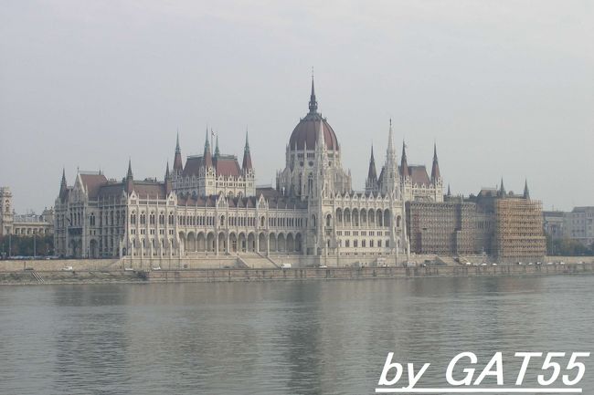 対岸から見る補修中の国会議事堂。