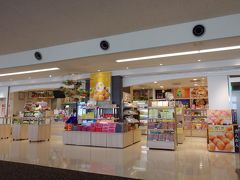 16:10 再びの宮崎空港です。

本日最後の宮崎なので、日向夏キャンディやきんかん餅、マンゴーラングドシャなどを購入しました。