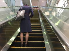 羽田空港の長ーいエスカレーター

帰りも東京モノレールで。
やっぱりこのルートは初めてだな、と思った次第。