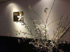 サクララウンジ

入り口に本物の桜が飾られていました。

ステータス持ちの姉のお供で入場させていただきました。