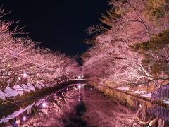 弘前公園のライトアップを見に行きました。期待通り!