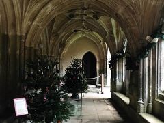 レイコック寺院。ハリーポッターに出てくる廊下です。クリスマスなので特別にツリーが！たくさん置かれていました。