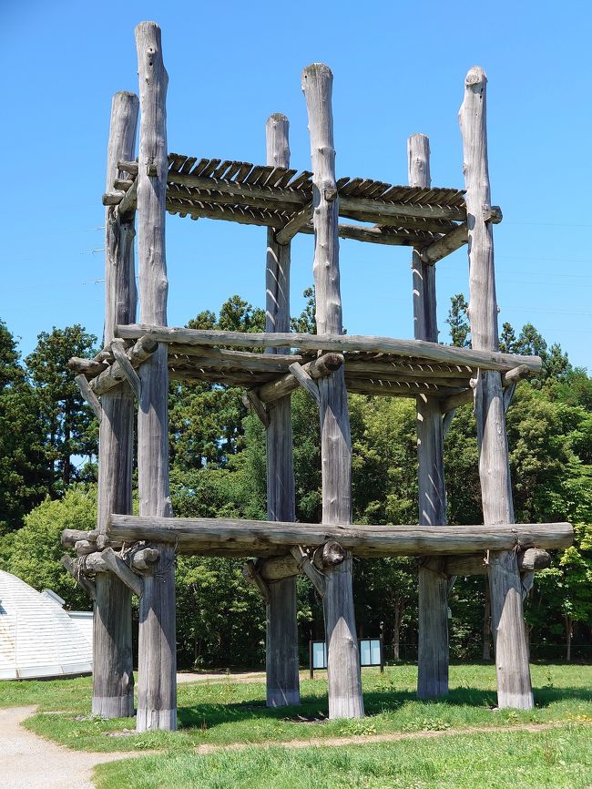 大雨の先に 青森市内 青森県 の旅行記 ブログ By Kang Ruiさん フォートラベル