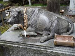 天満宮にはやはり撫で牛。