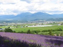 そして、本当は翌日の予定でしたが・・・

中富良野ラベンダーファームの前の道が混んでいなかったので、ファーム富田まで行ってしまいました。