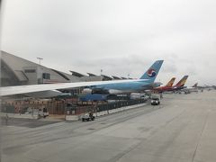 ロサンゼルス国際空港 (LAX)