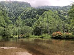 田代池は浅い池で、土砂の流入で年々小さくなっているそうです。