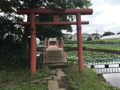 弁天池公園にはトイレがあり、
ベンチもあったので買ってきたお稲荷様を食べました。