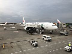 成田ロサンゼルス間は日本航空　飛行予定時間9時間50分
総勢14名のツアーです。