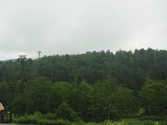 さて今日は午前中雲りで14時過ぎから雨予報なので、麓を散策し早めに宿に戻る事に。
出発前日に問い合わせたビジターセンターは、天女ヶ原のリアルタイムの開花情報は持ち合わせていないとのお返事。他の色々なサイトを探しても見つけられず、ワタスゲが見れるかどうかわかりませんがとりあえず行ってみましょう。ただ明日が本番なので疲れないようにと1時間をめどにしました。