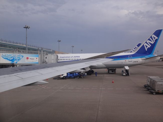沖縄 東京 羽田空港ー沖縄 那覇空港間のnh463便 ボーイング767 300 搭乗記 Anaプレミアムクラス 普通席の機内サービス 機内食 那覇 沖縄県 の旅行記 ブログ By リンリンベルベルさん フォートラベル