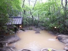 露天風呂どーん！！。ええ感じのお湯の色と緑のコントラストが素敵です。めちゃくちゃ開放的で宿泊中に5回も入ってしまいました。