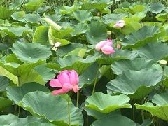 水城公園