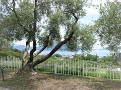 ”小豆島オリーブ公園” にやって来ました。