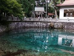 湧き水の美しい、別府弁天池です。
飲み水としても使われているので、水を汚さぬようにしたいものです。
鱒の養殖をしており、食事もできるようです。また売店ではマスバーガーが売ってました。
青い水が非常に美しいですね。