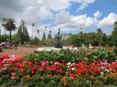 オークランド港についてからも、まだ明るかったので、アルバート公園へ行ってみました。
7年前に通っていた学校が傍にあったので、行ってみたのですが、改修工事なのか足場が組まれていたので、公園の散策だけにしました。