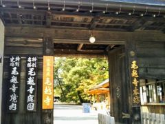 毛越寺（もうつうじ）、お邪魔します。

平泉は文化遺産といえば中尊寺金色堂があまりにも有名ですが、中尊寺に加えて、毛越寺やその周辺が「世界文化遺産」に登録されてから、毛越寺にも人の波が押し寄せるようになったみたいです。