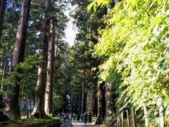 老杉が生い茂る中尊寺までの長い参道、月見坂。
この坂道は奥州藤原氏の時代から、あまり変わってないということ。