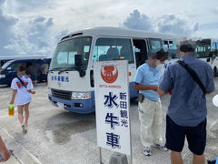 竹富島を降りると、観光業者のバスが沢山並んでいます。
自分が予約した観光業者のバスか、当日ならお世話になりたい観光業者のバスに乗り込みます。

big香港家は、新田観光を予約しました。
