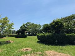 大崎公園の広場。