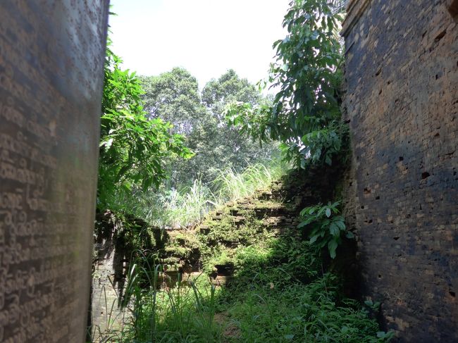 ３０＜祠堂内部＞<br />これは、正面入り口から見た内部の様子。<br />草や木が生え、自然に還ろうとしている。<br />このあと、どうなっちゃうんだろう・・・。<br /><br />