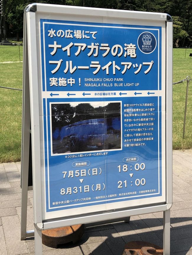目指せnyセントラルパーク 生まれ変わった新宿中央公園 むさしの森dinerのとろけるパンケーキ スターバックス新宿中央公園shuknova 新宿 東京 の旅行記 ブログ By リンリンベルベルさん フォートラベル