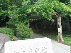 ふらふら。
宮の森緑地。立派な藤棚。春に再訪しよう。