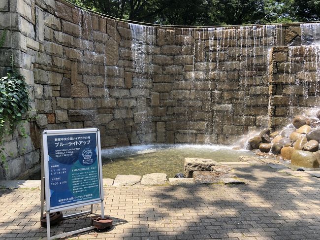目指せnyセントラルパーク 生まれ変わった新宿中央公園 むさしの森dinerのとろけるパンケーキ スターバックス新宿中央公園shuknova 新宿 東京 の旅行記 ブログ By リンリンベルベルさん フォートラベル