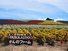 かんのファーム。
ようやく、すべての花が咲きそろったようです。
色鮮やかで素敵。
真っ赤なサルビアで、大きなハートを描いていました。
コロナ終息への願いでしょうか。