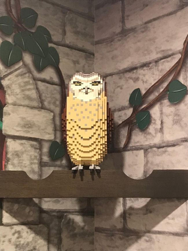 なかなら良い面構え。