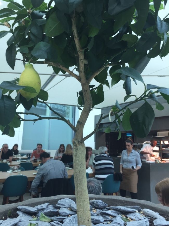 ここはカフェっぽかった。<br />レモンが可愛い。＊^^＊