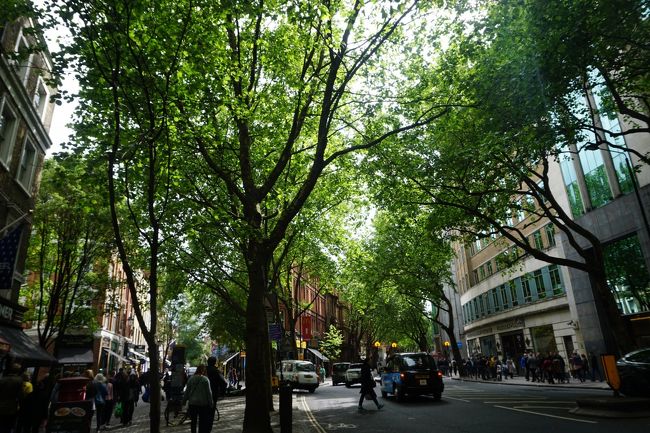 大英博物館を出て南にくだる。<br /><br />木々がもりもり。<br />可愛すぎる！！<br />