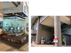 さて、民宿に行こうかな~と思ったら、道中に楽しそうな施設発見！
福井県海浜自然センターです
大好きな入場料無料ですｗ
駐車場入るときに、警備員さんから「入館だけですか？」って聞かれて、それ以外に何か？って思ったので、入り口で体調聞き取りの係の方に聞いてみました。
どうやらここに車を停めて、今年は海開きしていないのに、キャンプしたり、海水浴したりする人がいるかららしいです。
海の駐車場が閉鎖されているから、そういうことになるんですね