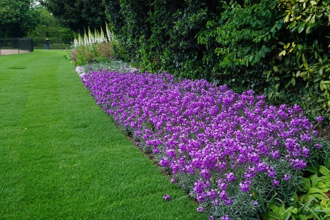 美しい～～～！