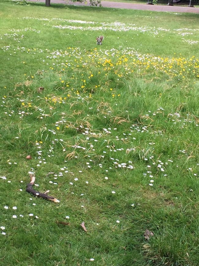 そして、モグモグ^^