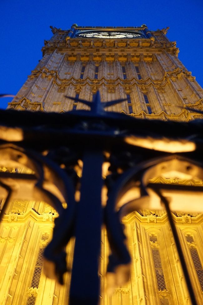 接近して見上げる^^☆