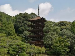 山口市内の香山公園です、浄瑠璃寺の五重塔が目当て、
池のほとりは日陰で涼しい～～
駐車場が無料で、入場料もない、京都ならきっと有料だなあ、ありがたいことです。