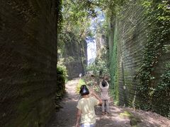 ◆結局

折角なのでロープウェイに乗ろうかと思ったが、コロナの事もあるので車で頂上へ。
鋸山登山自動車道　１０００円
拝観料　大人７００円、子供４００円
